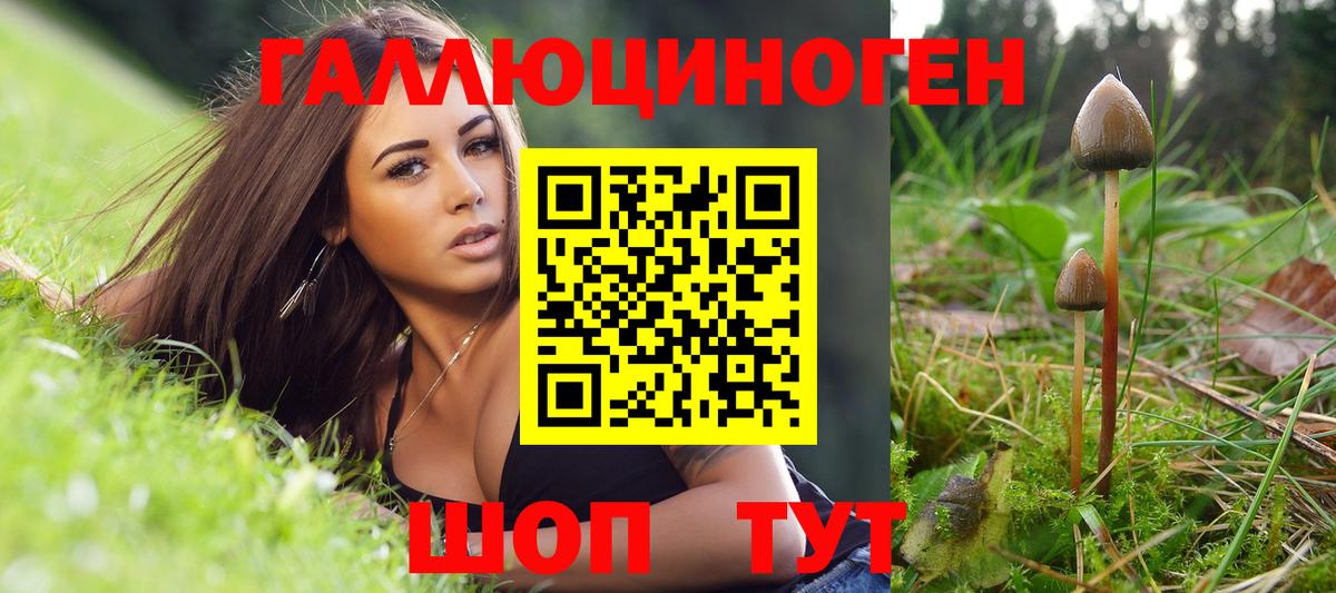 Галлюциногенные грибы MAGIC MUSHROOMS  Псилоцибиновые грибы мухоморы  Ставрополь  Вход с VPN 