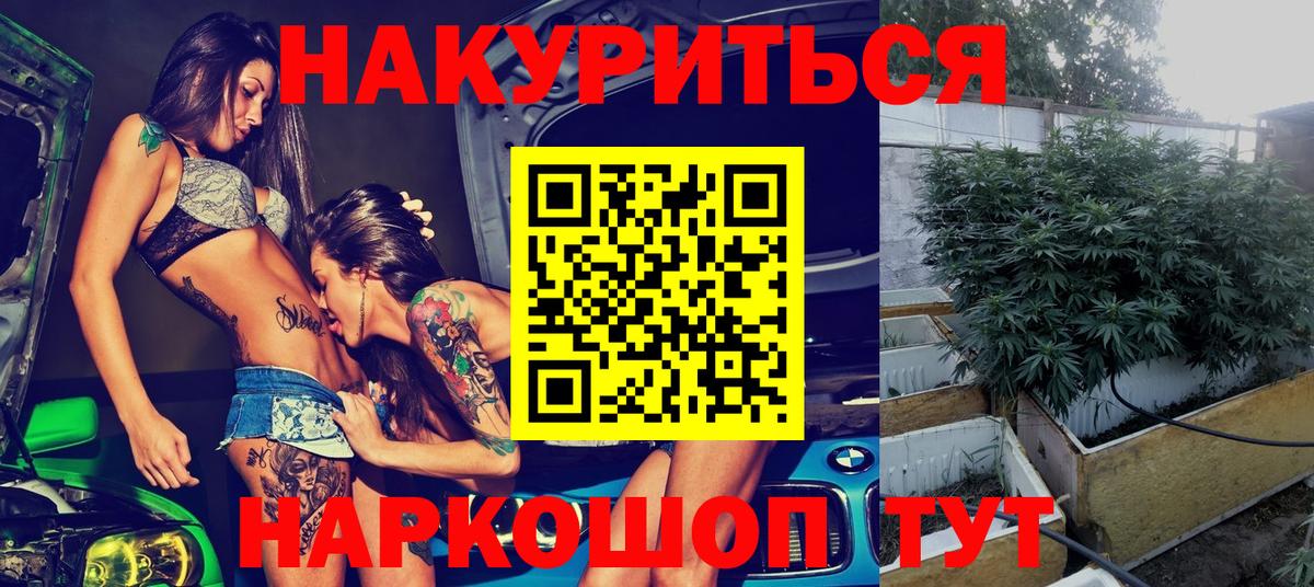 Бошки Шишки план  Шишки марихуана сатива  Каннабис Amnesia  Ставрополь  Вход с VPN  Шишки марихуана Amnesia 